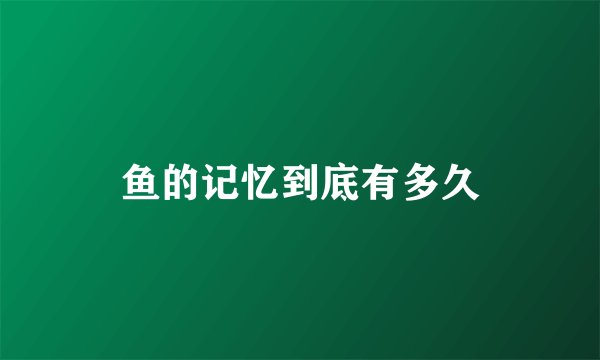 鱼的记忆到底有多久