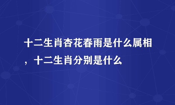 十二生肖杏花春雨是什么属相，十二生肖分别是什么