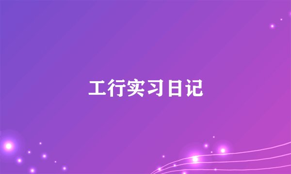 工行实习日记