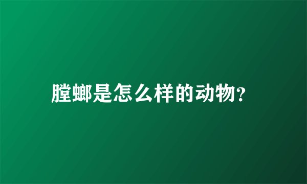 膛螂是怎么样的动物?
