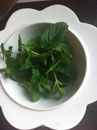 越南春卷
