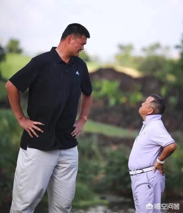 你觉得NBA球星和姚明一起合影会是什么效果?