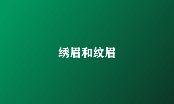 绣眉和纹眉