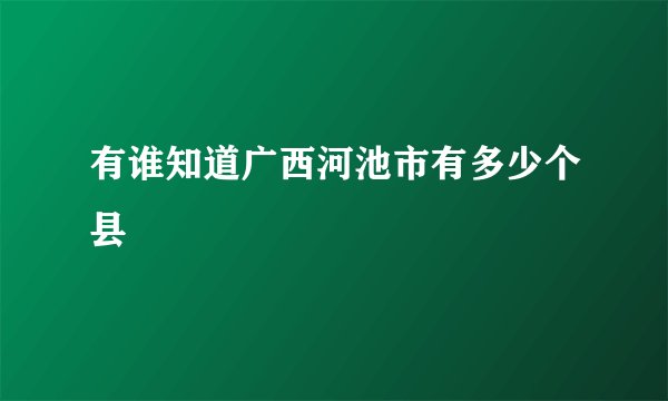 有谁知道广西河池市有多少个县