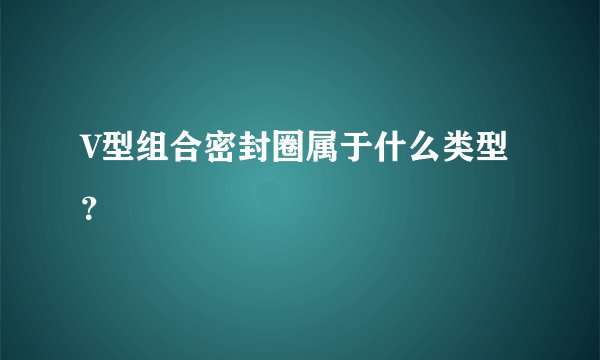 V型组合密封圈属于什么类型？