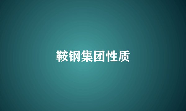 鞍钢集团性质