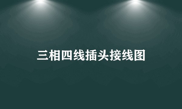 三相四线插头接线图
