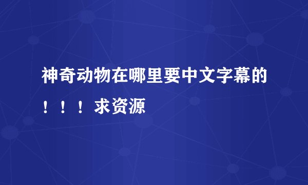 神奇动物在哪里要中文字幕的！！！求资源