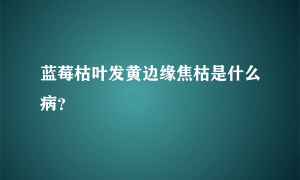 蓝莓枯叶发黄边缘焦枯是什么病？