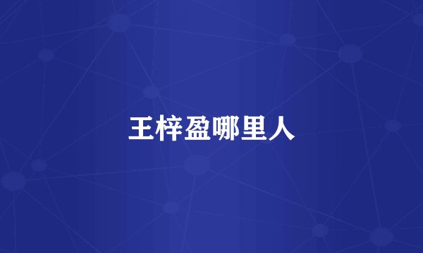 王梓盈哪里人
