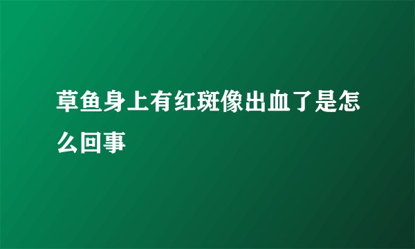 草鱼身上有红斑像出血了是怎么回事