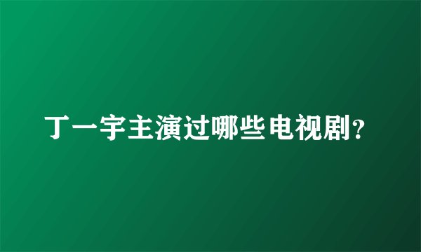 丁一宇主演过哪些电视剧？