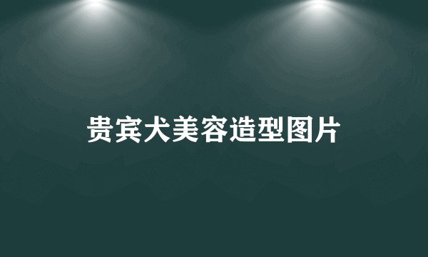 贵宾犬美容造型图片