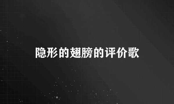 隐形的翅膀的评价歌