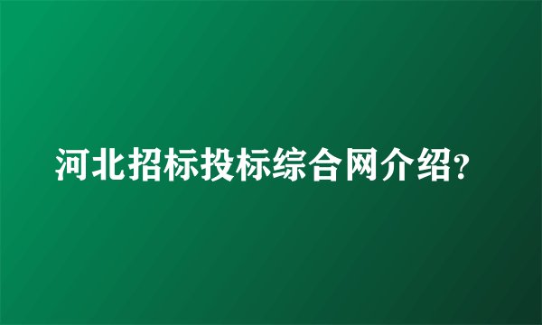 河北招标投标综合网介绍?