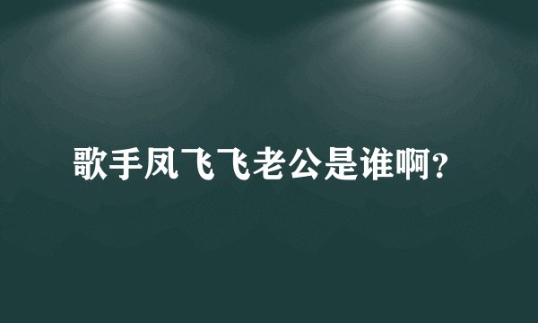 歌手凤飞飞老公是谁啊？