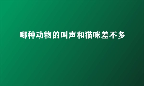 哪种动物的叫声和猫咪差不多