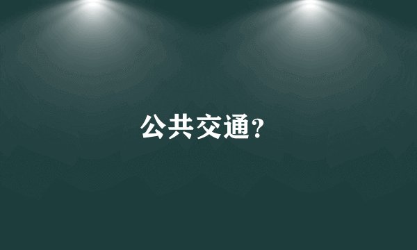 公共交通？