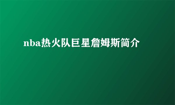 nba热火队巨星詹姆斯简介