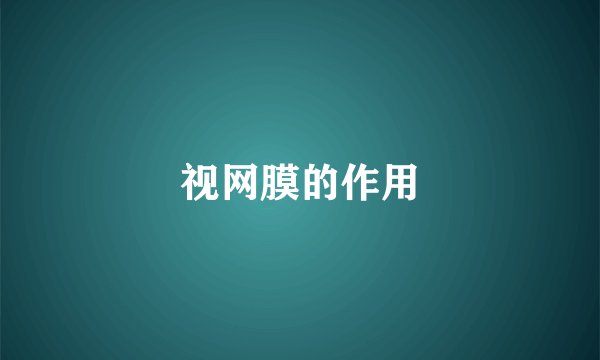 视网膜的作用