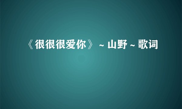 《很很很爱你》～山野～歌词