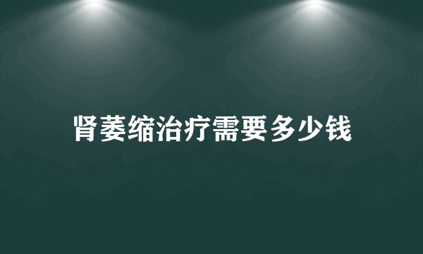 肾萎缩治疗需要多少钱