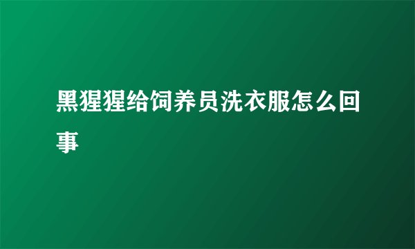 黑猩猩给饲养员洗衣服怎么回事