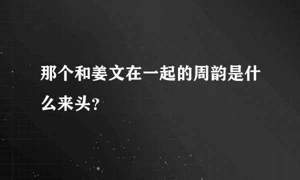 那个和姜文在一起的周韵是什么来头?