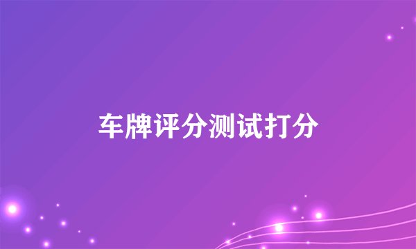 车牌评分测试打分