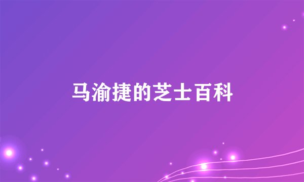 马渝捷的芝士百科