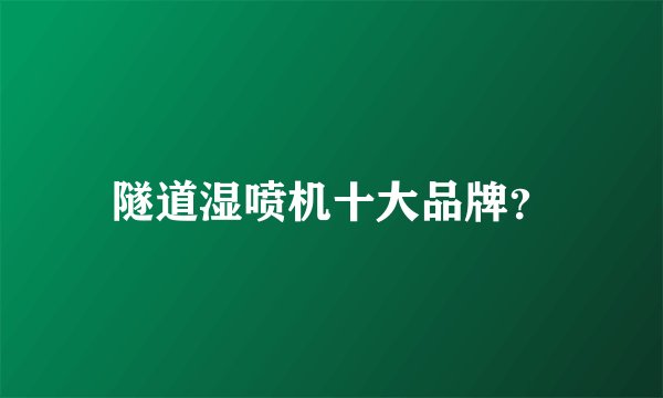 隧道湿喷机十大品牌？