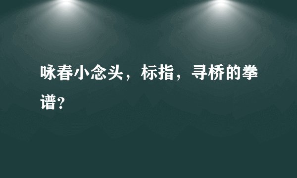 咏春小念头，标指，寻桥的拳谱？