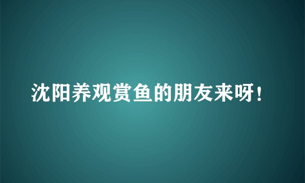 沈阳养观赏鱼的朋友来呀！