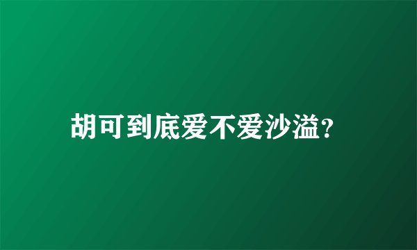 胡可到底爱不爱沙溢？