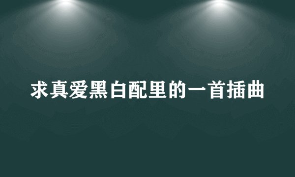 求真爱黑白配里的一首插曲