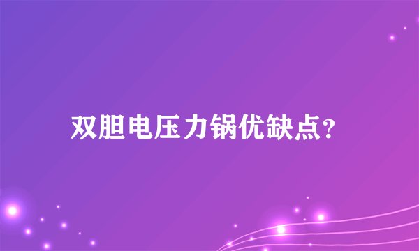双胆电压力锅优缺点？