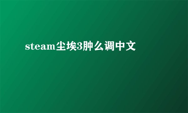 steam尘埃3肿么调中文