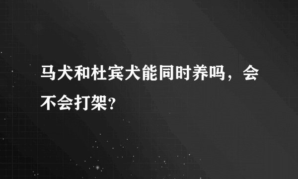 马犬和杜宾犬能同时养吗，会不会打架？