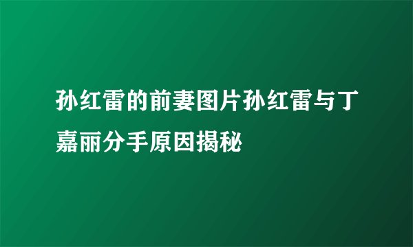 孙红雷的前妻图片孙红雷与丁嘉丽分手原因揭秘