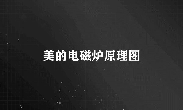 美的电磁炉原理图