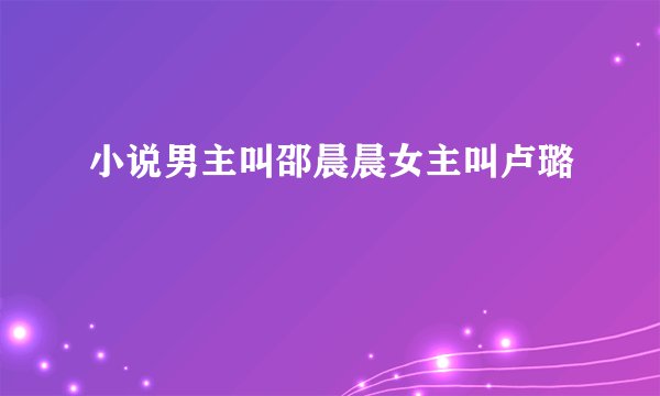 小说男主叫邵晨晨女主叫卢璐