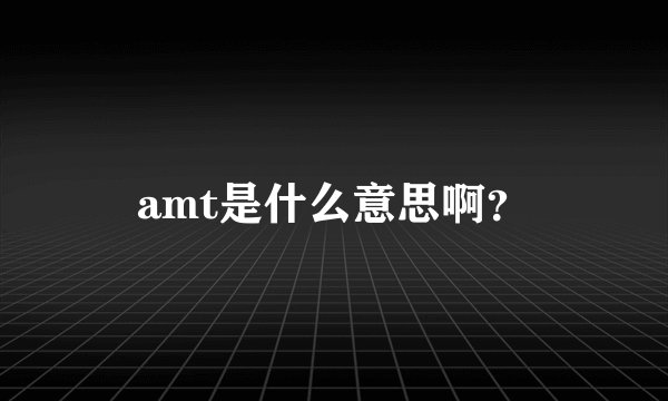 amt是什么意思啊？