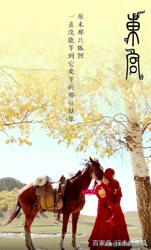 那种看哭的剧有哪些推荐？