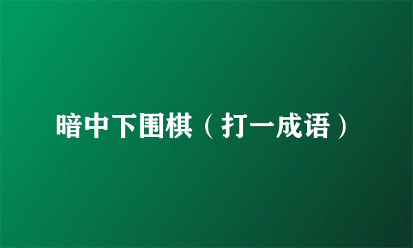 暗中下围棋（打一成语）