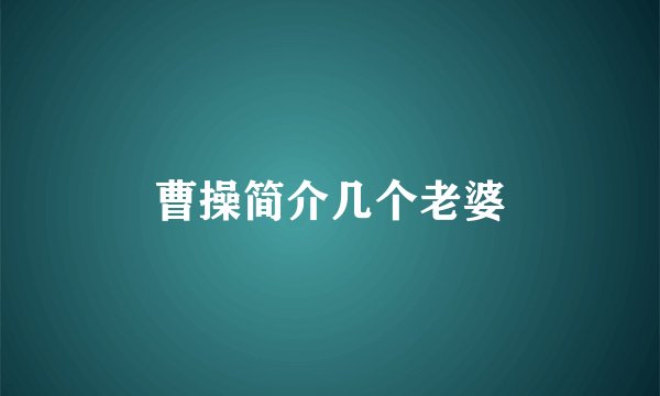 曹操简介几个老婆