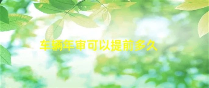 车辆年审可以提前多久