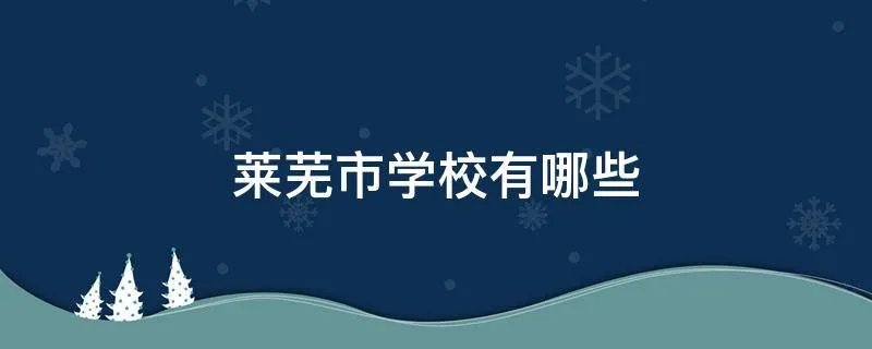 莱芜市学校有哪些