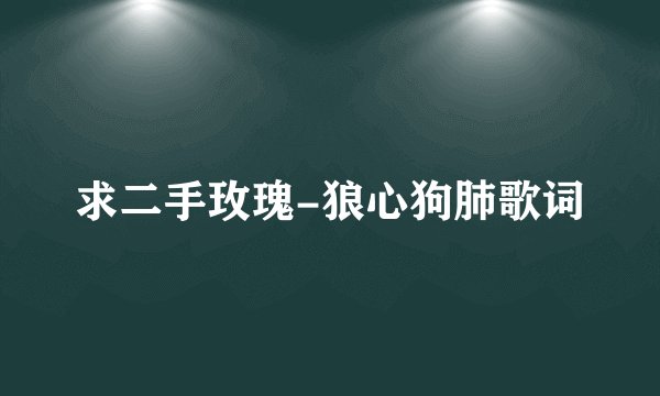 求二手玫瑰-狼心狗肺歌词
