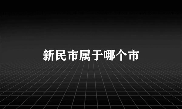 新民市属于哪个市