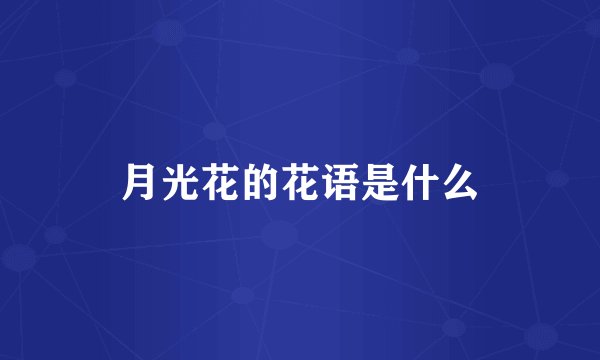 月光花的花语是什么